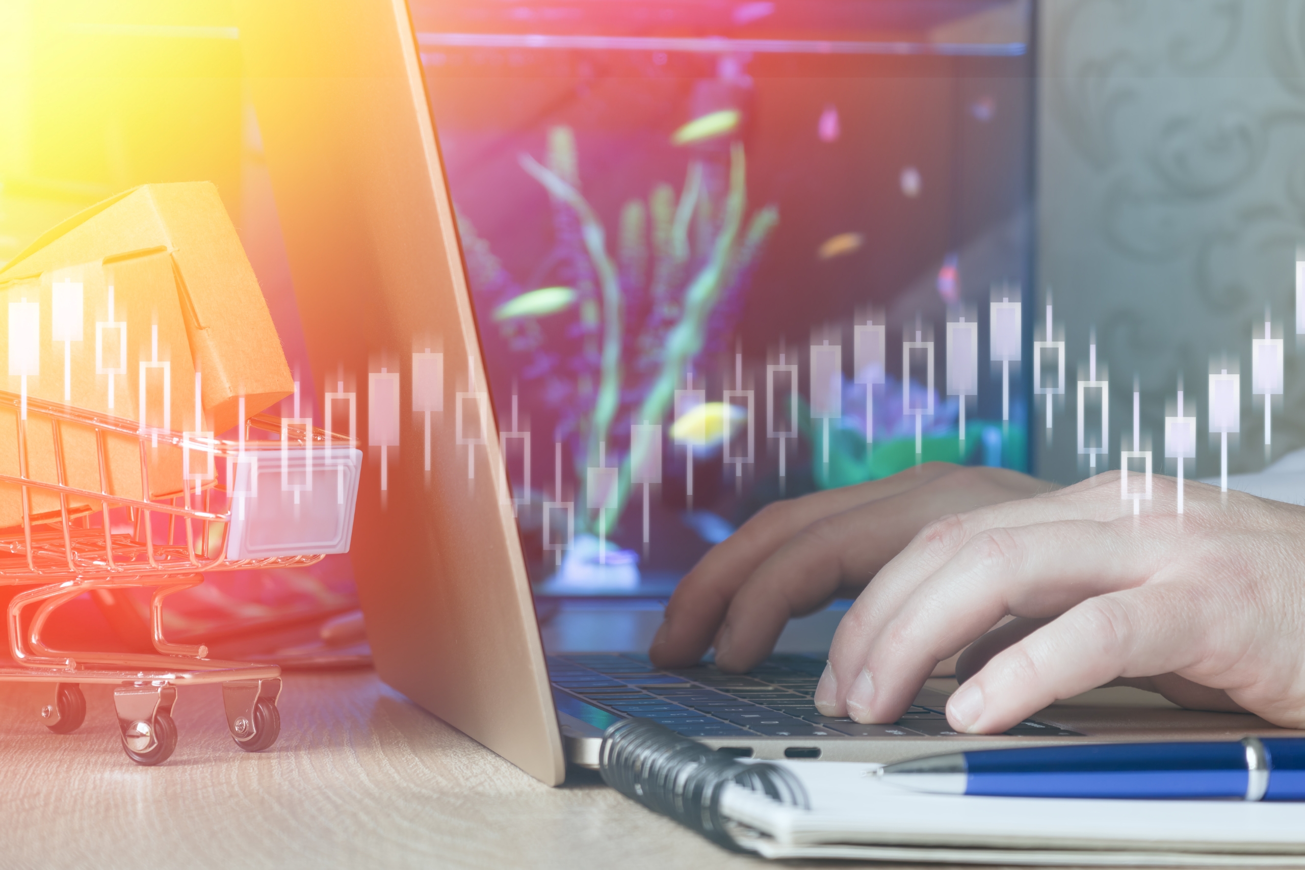 Utilizing an Online Trading Platform