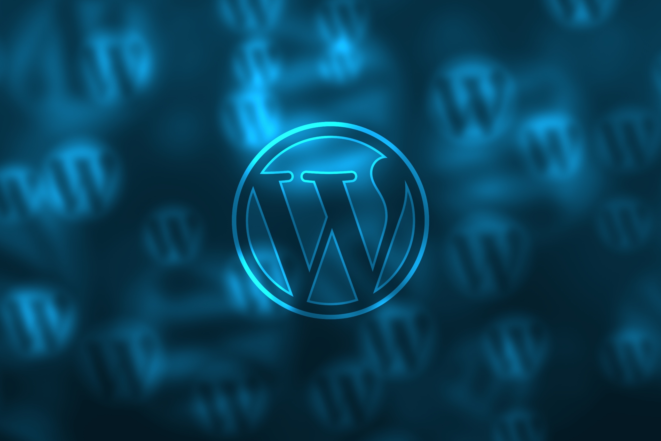 Building a Website in WordPress
