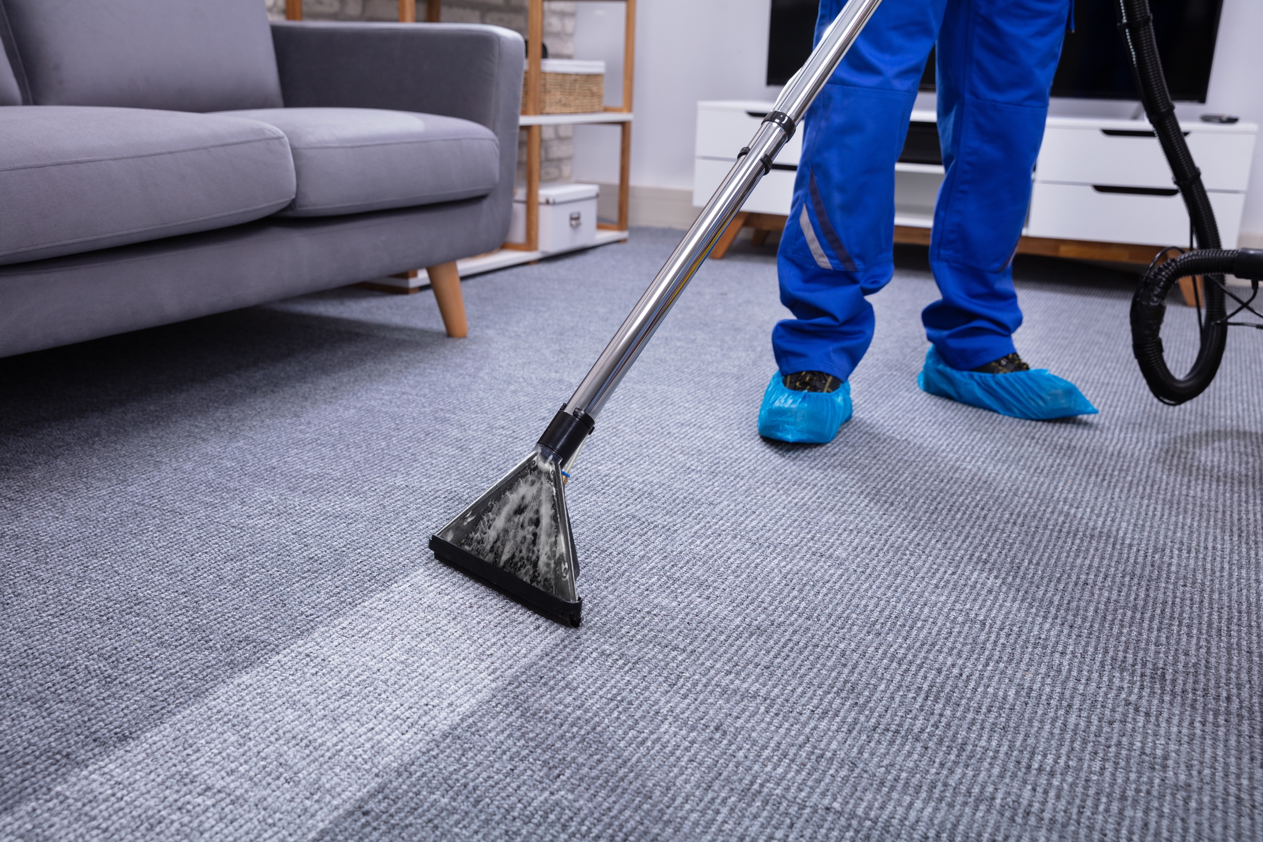 Where to Find Expert Carpet Cleaning