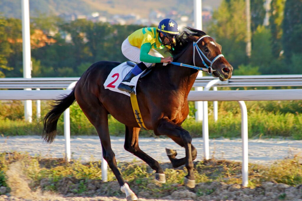 Why You Shouldn't Pay For Horse Racing Tips