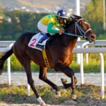 Why You Shouldn’t Pay For Horse Racing Tips