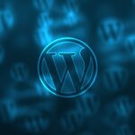 Finding a Quality WordPress Developer