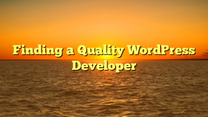 Finding a Quality WordPress Developer