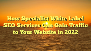 How Specialist White Label SEO Services Can Gain Traffic to Your Website in 2022