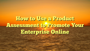 How to Use a Product Assessment to Promote Your Enterprise Online