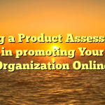 Using a Product Assessment in promoting Your Organization Online