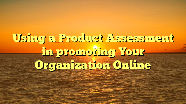 Using a Product Assessment in promoting Your Organization Online