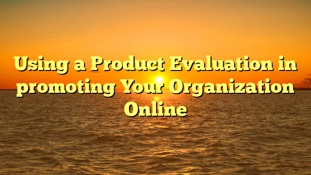Using a Product Evaluation in promoting Your Organization Online