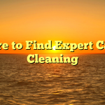Where to Find Expert Carpet Cleaning