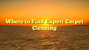 Where to Find Expert Carpet Cleaning