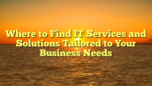 Where to Find IT Services and Solutions Tailored to Your Business Needs