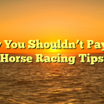 Why You Shouldn’t Pay For Horse Racing Tips