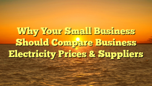 Why Your Small Business Should Compare Business Electricity Prices & Suppliers